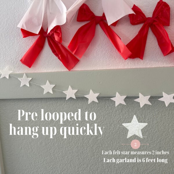 4th of July Star Banner.