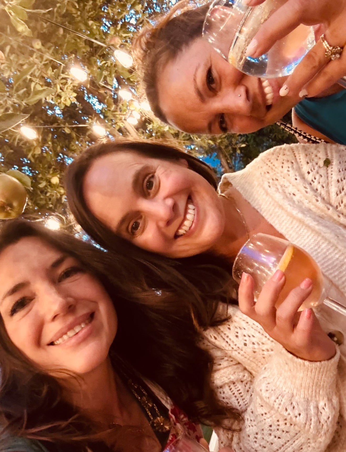 Italian Party Friends