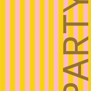 Party event planner cover